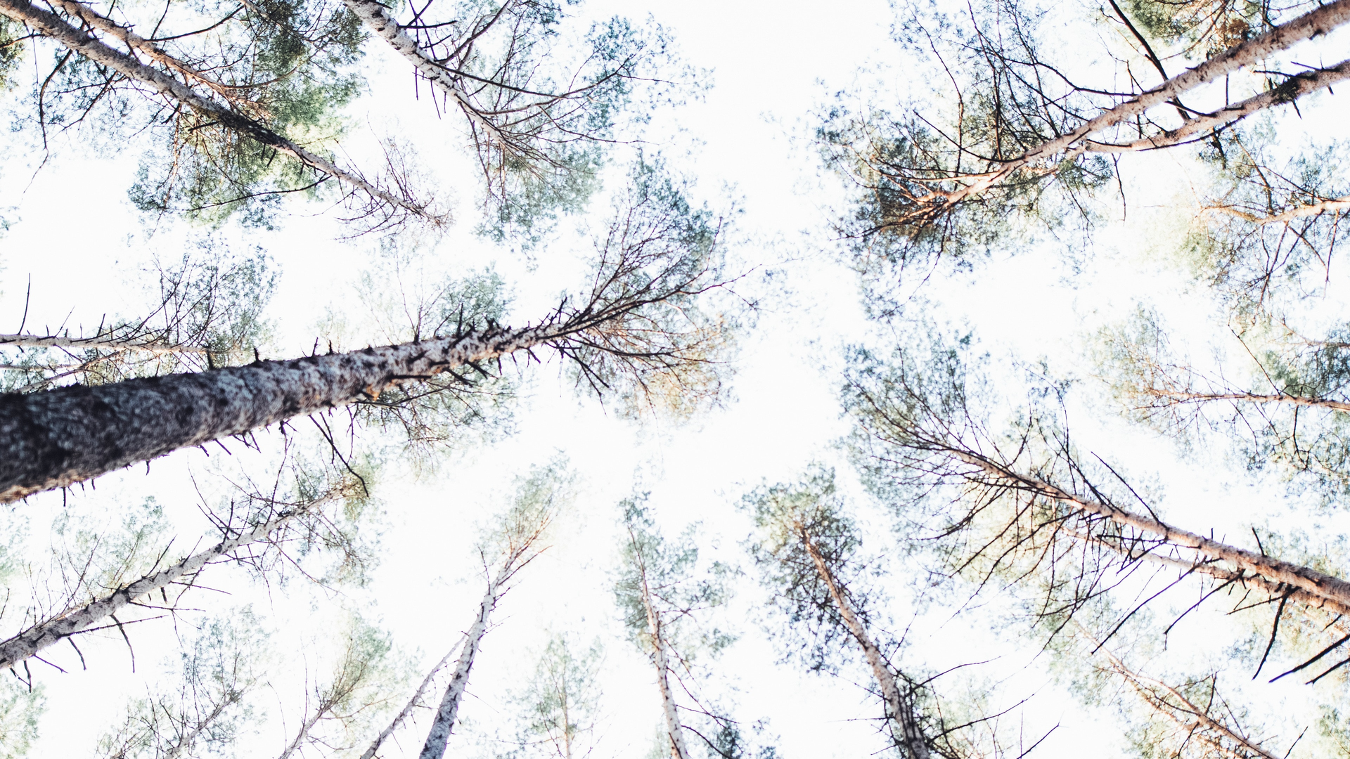 Markus Spiske Iq A Eci Z Ba M Unsplash 5ee3b2f86ad4d