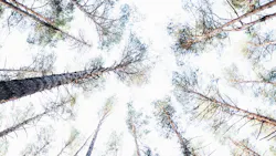 Markus Spiske Iq A Eci Z Ba M Unsplash 5ee3b2f86ad4d Markus Spiske Iq A Eci Z Ba M Unsplash 5ee3b2f86ad4d