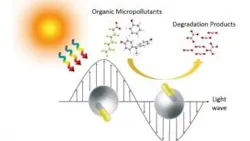 Engineers from Yale University and Rice University collaborated on the creation of “Janus” gold nanorods, a new type of nanoparticle that can purify water by converting light to heat. Engineers from Yale University and Rice University collaborated on the creation of “Janus” gold nanorods, a new type of nanoparticle that can purify water by converting light to heat.