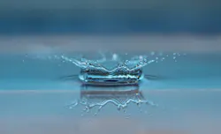 Pexels Pixabay 45229 5f317ce37bdb9 Pexels Pixabay 45229 5f317ce37bdb9