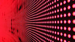 Pexels Pixabay 158826 5f720e7a67272 Pexels Pixabay 158826 5f720e7a67272