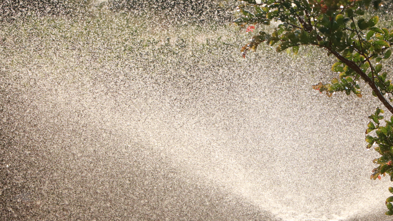 Methi Somcag Aym I2mt9w Ry Unsplash 5fd794774dc79