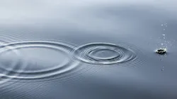 Linus Nylund Q5 Qsplu N Zm M Unsplash 1 6011a0dbeb826 Linus Nylund Q5 Qsplu N Zm M Unsplash 1 6011a0dbeb826