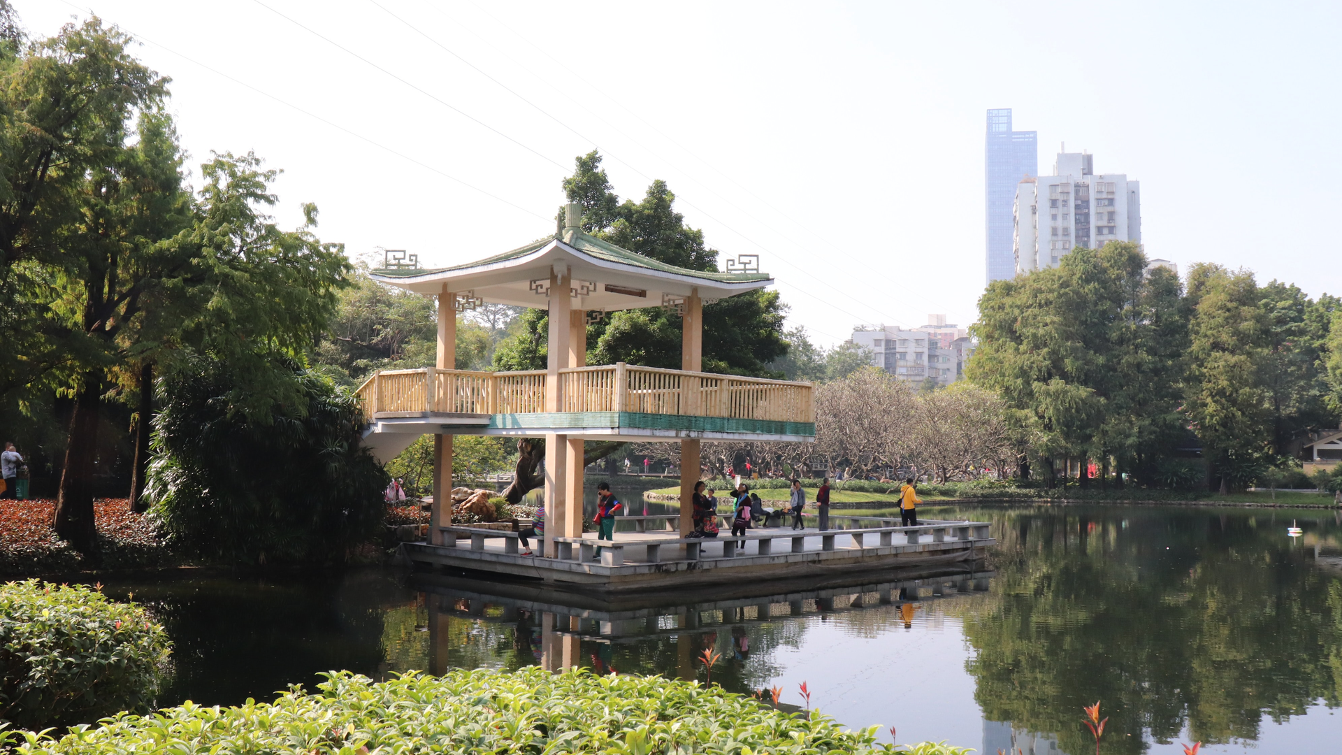 Lycheeart 1j Hs Ih Iboo Unsplash