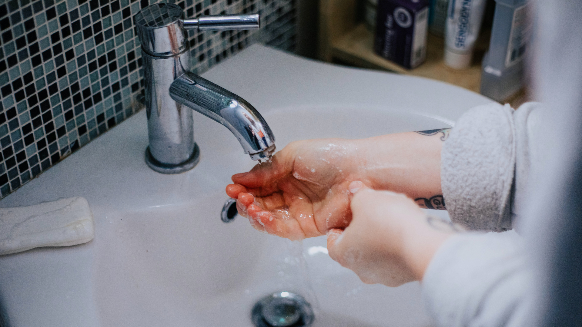 Hedgehog Digital X Bh Lb Y4 G8s Unsplash 6092c3b14294d