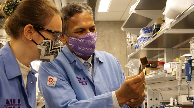 Researchers Vinayak Dravid and Stephanie Ribet examine their phosphate elimination and recovery substrate.