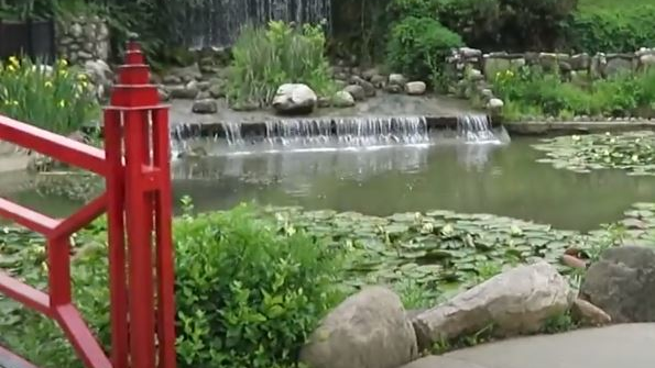 Mayberyy Tsurumi 60d09af28bc21