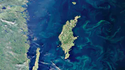 Applying Circular Wate 60ba691af4101 Applying Circular Wate 60ba691af4101