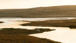 Mason Field J Iffw Ta Ub I Unsplash 60c7ca9d541d1 Mason Field J Iffw Ta Ub I Unsplash 60c7ca9d541d1