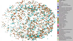 This image is generated by siMPle, an FTIR particle-analysis software, after comparison of the acquired particles spectra with a reference database. This image is generated by siMPle, an FTIR particle-analysis software, after comparison of the acquired particles spectra with a reference database.