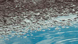 Valeria Strogoteanu Td Kr Nw9b Gvu Unsplash 60ec9c38f074d Valeria Strogoteanu Td Kr Nw9b Gvu Unsplash 60ec9c38f074d