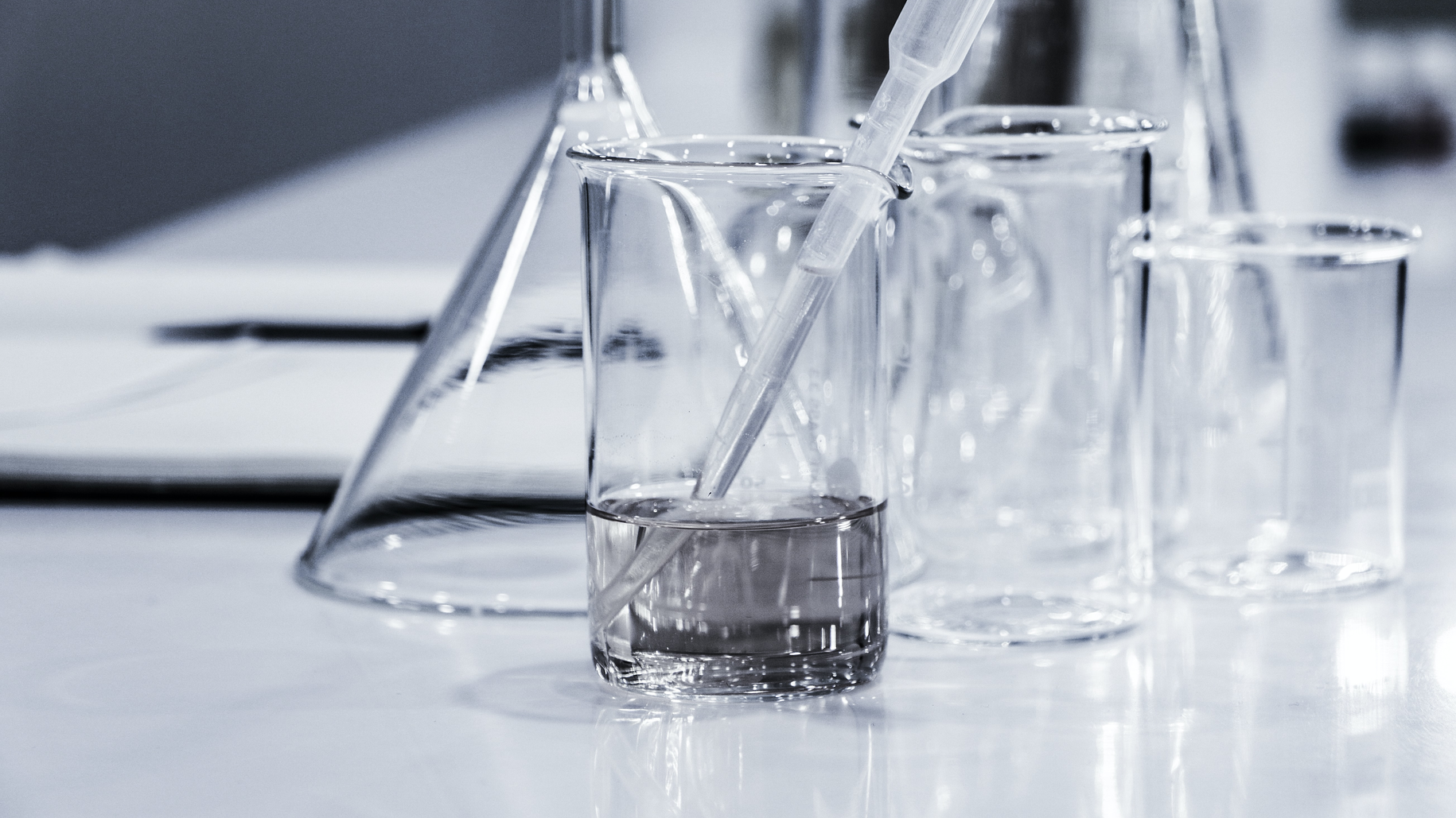 Hans Reniers L Qgjcmy5qc M Unsplash 611d1a358859e