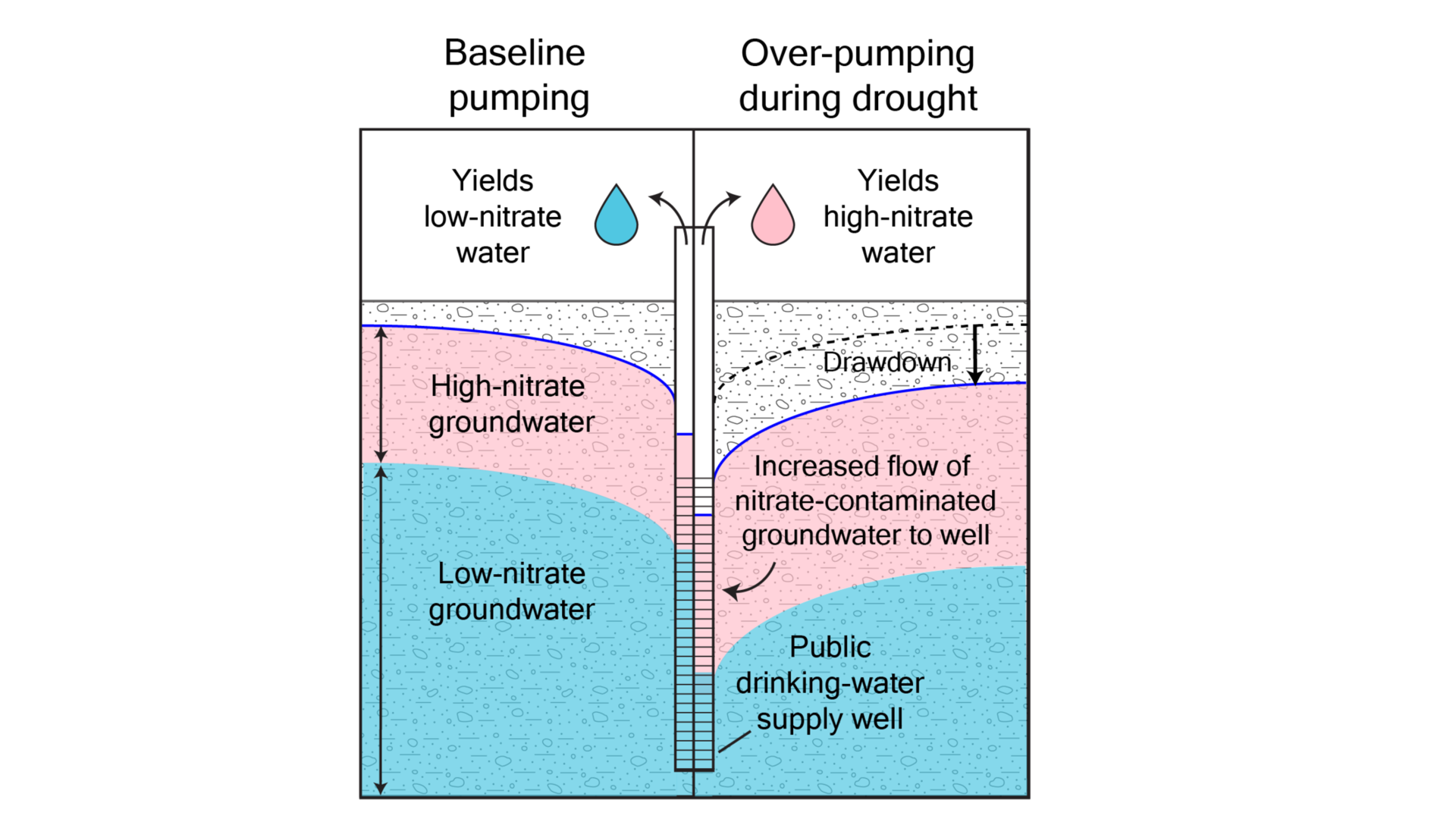 Graphic showing that over-pumping during drought can increase nitrate at public-supply wells.