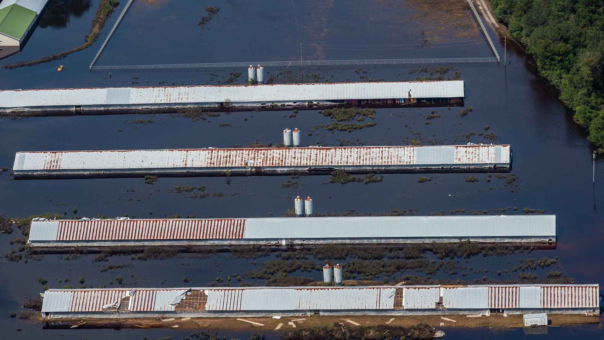 Aerial view of a CAFO farm surrounded by flood waters in Duplin County. North Carolina, USA.