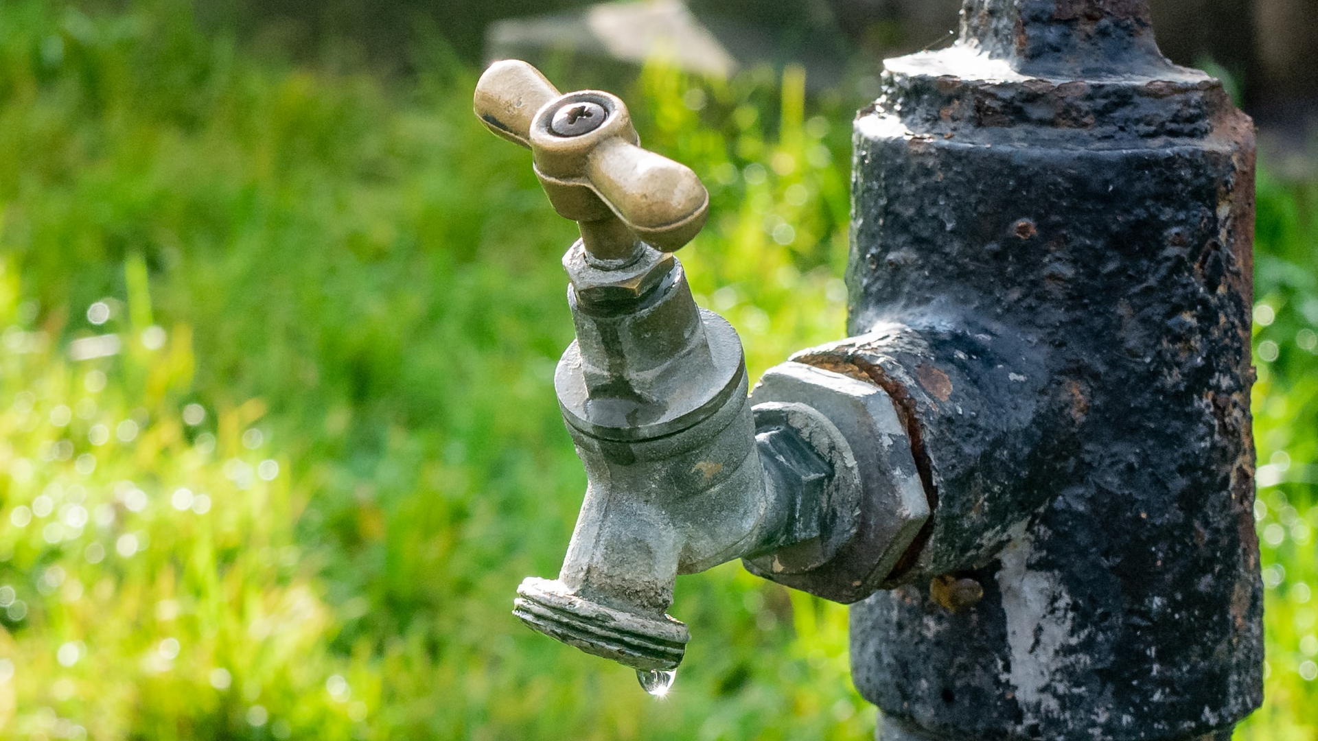 The Blowup Vh Olanzh N8 Unsplash 616847c995b5e