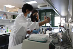 The researchers Soledad Rubio (left) and Ana Ballesteros, two of the authors of the research, carry out an experiment in the laboratory. The researchers Soledad Rubio (left) and Ana Ballesteros, two of the authors of the research, carry out an experiment in the laboratory.