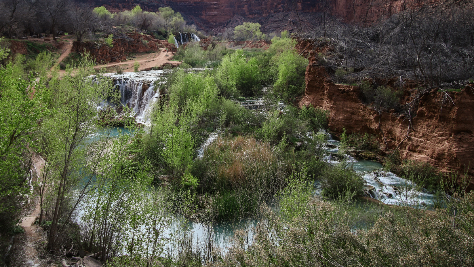 Jeremy Bishop F Wh41 Bgqp Pk Unsplash 619659b95f923