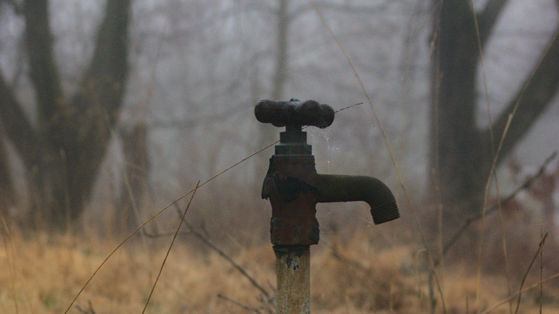 Paul Wolke Hu P7 Hu Iqy Ek Unsplash 61a65aabb8c6b