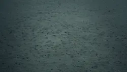 Tim Foster Et4q6 N3 J Am8 Unsplash 619beef3b5df6 Tim Foster Et4q6 N3 J Am8 Unsplash 619beef3b5df6