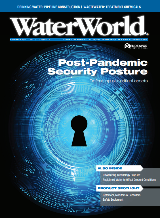 Volume 37, Issue 11, November 2021 cover image