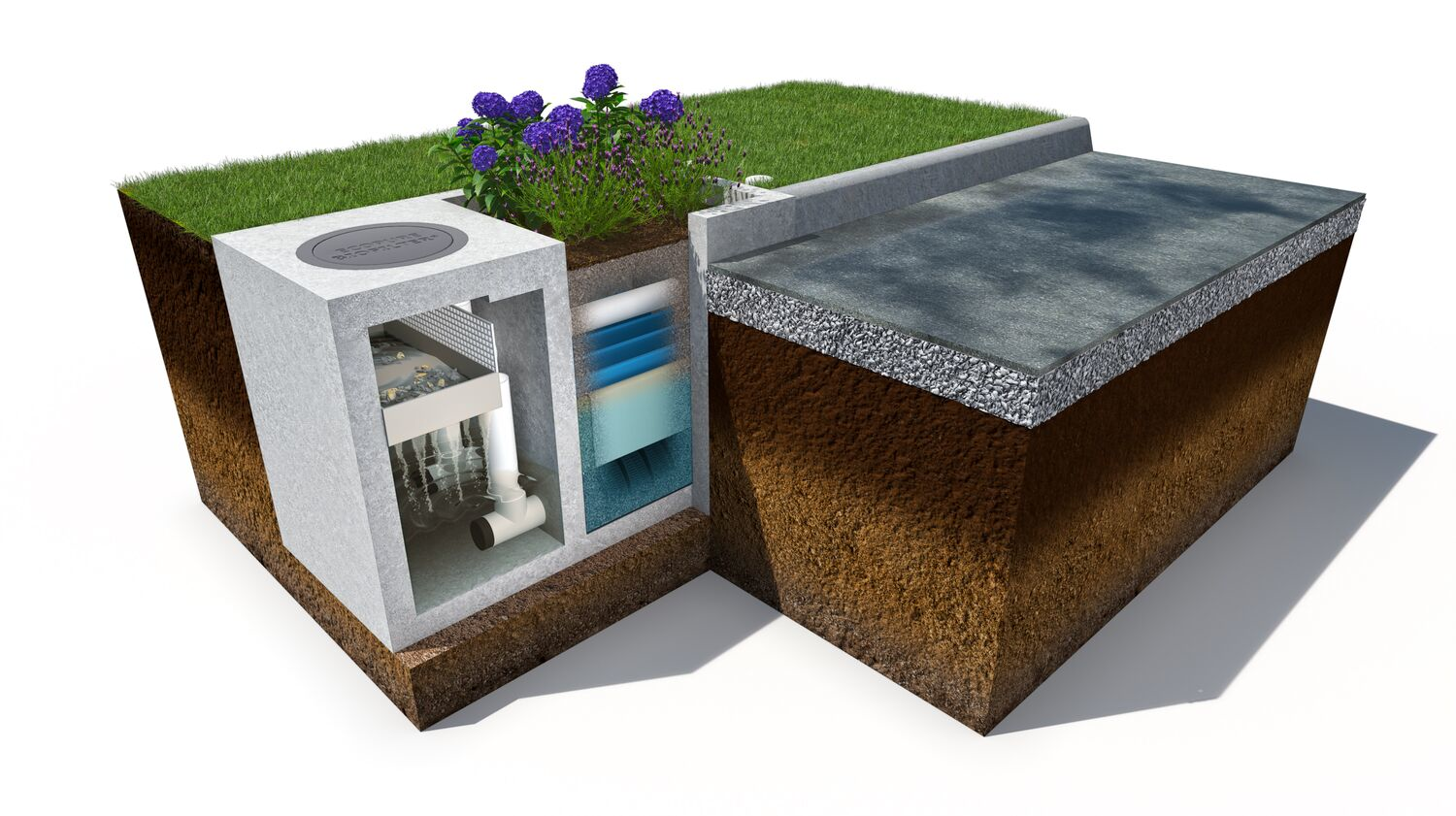 2112 W Wprd P04 619be562b4de1 61b25ca8b4c34