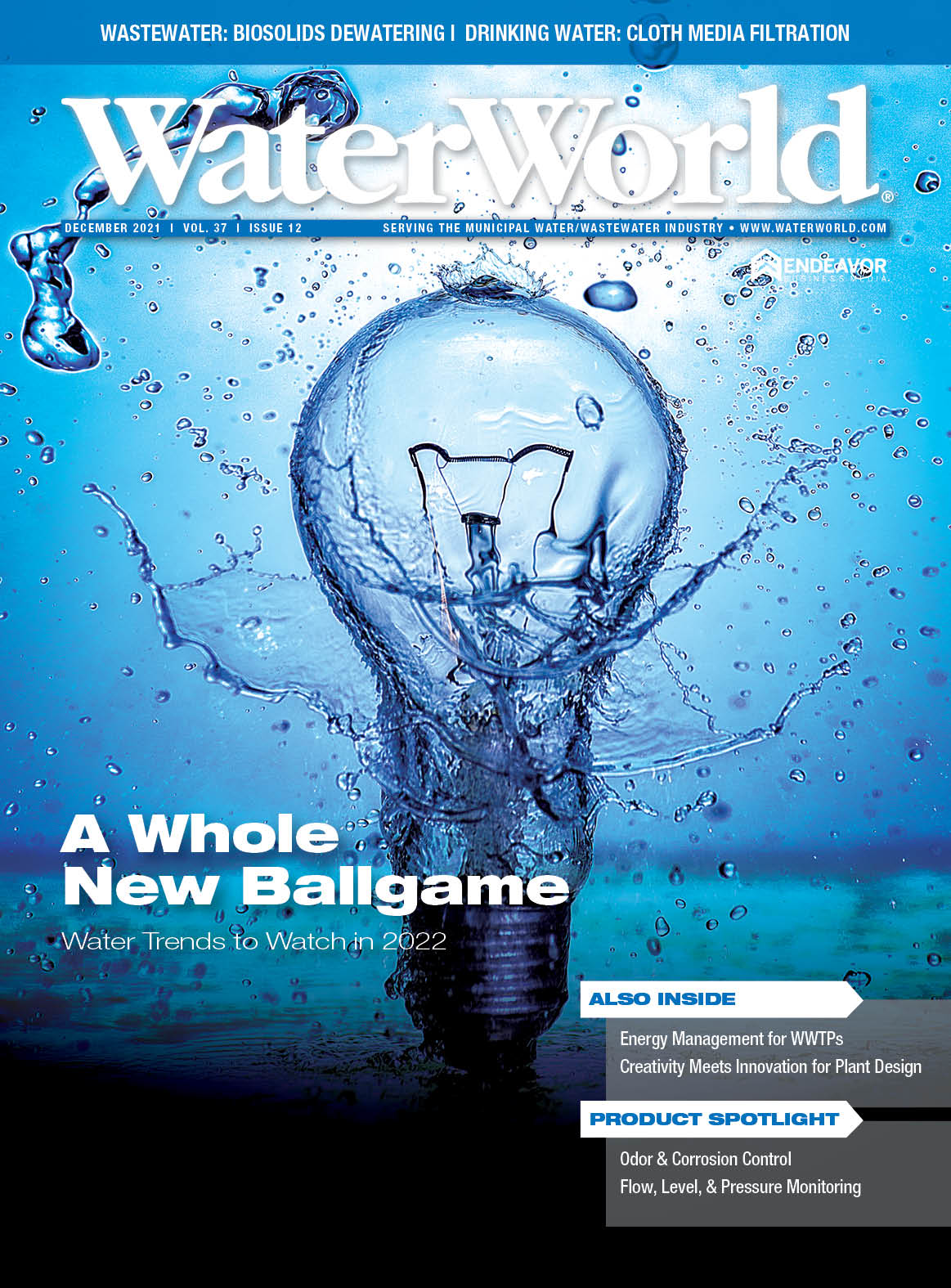 Volume 37, Issue 12, December 2021 cover image