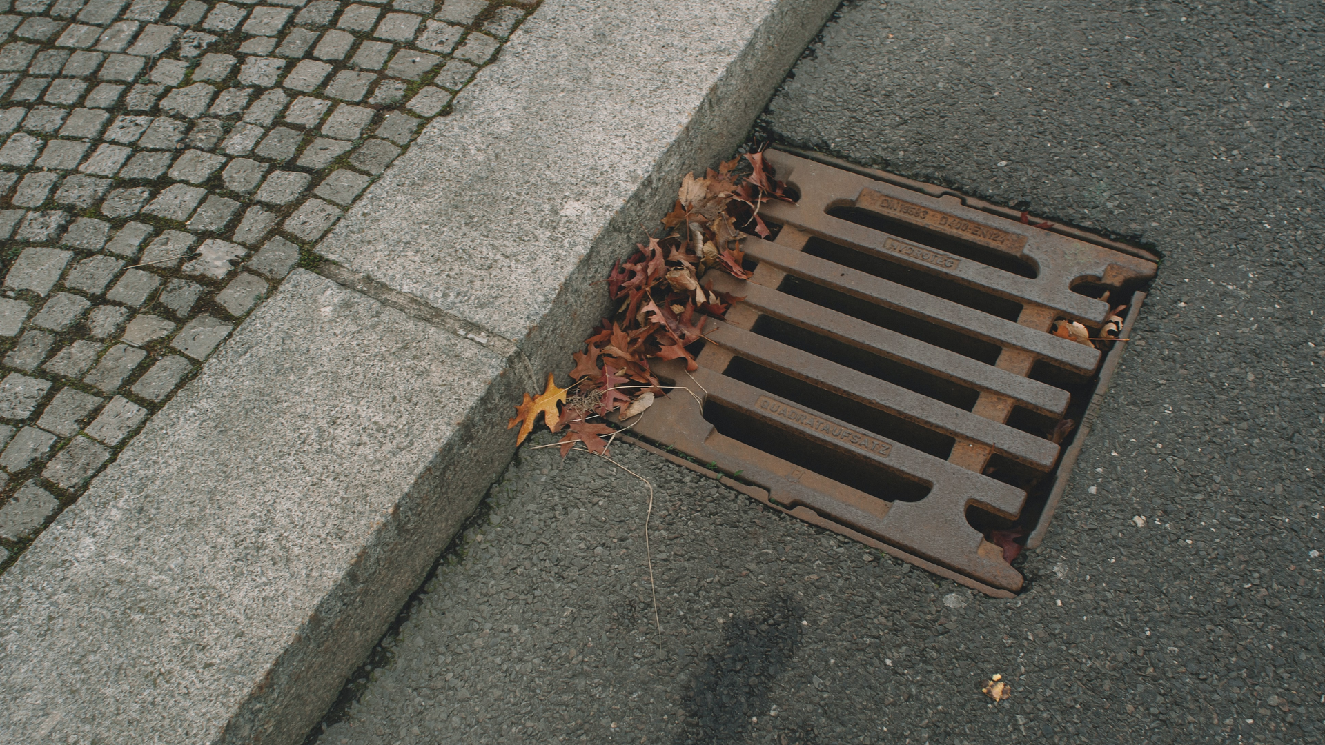 Egor Myznik T3a Lp Rx8joc Unsplash 61f7ed7fa742d