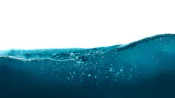 Daniel Sinoca Aanc Lsb0s U0 Unsplash 6213b18fb765d Daniel Sinoca Aanc Lsb0s U0 Unsplash 6213b18fb765d