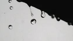 Holly Obermiller Vo5t Lr Yah0 Unsplash 6217e71f6e081 Holly Obermiller Vo5t Lr Yah0 Unsplash 6217e71f6e081