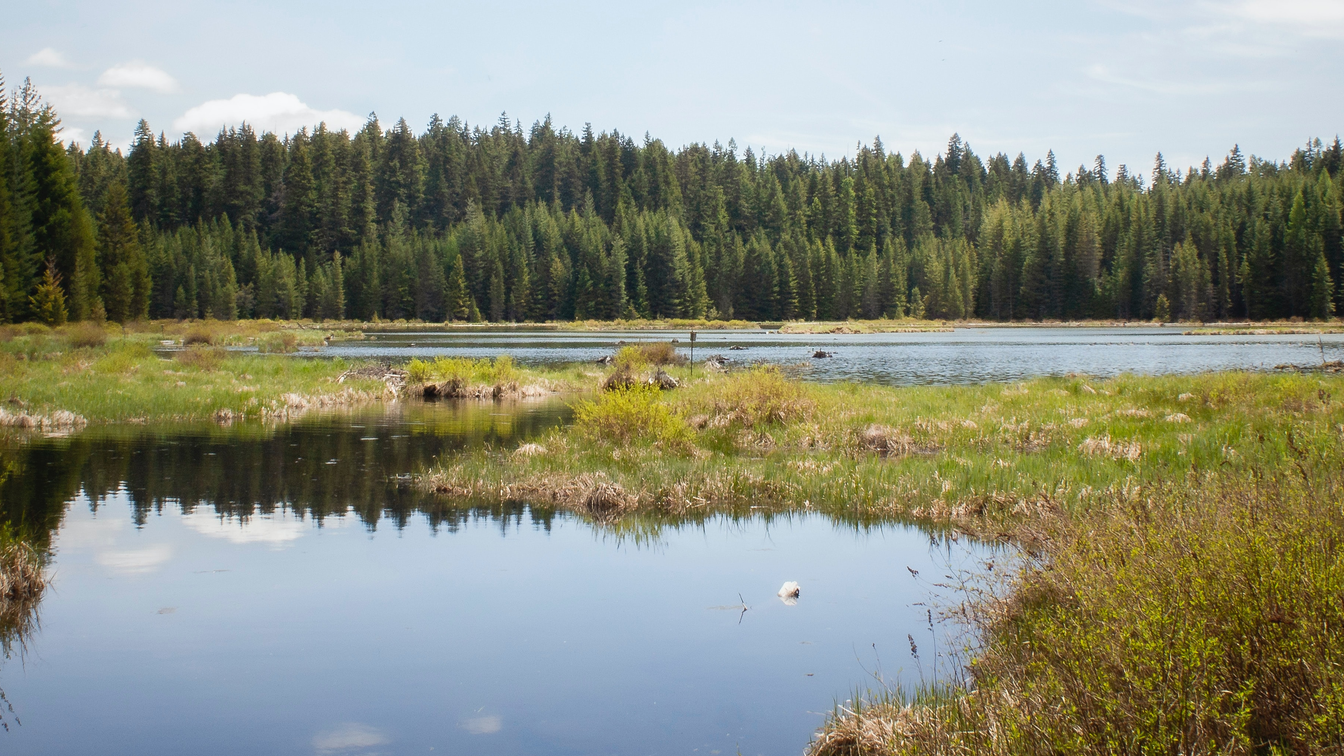 Jonathan Lampel Mc Bj0zf1 J9 Y Unsplash 6218f584b80d8