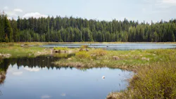 Jonathan Lampel Mc Bj0zf1 J9 Y Unsplash 6218f584b80d8 Jonathan Lampel Mc Bj0zf1 J9 Y Unsplash 6218f584b80d8