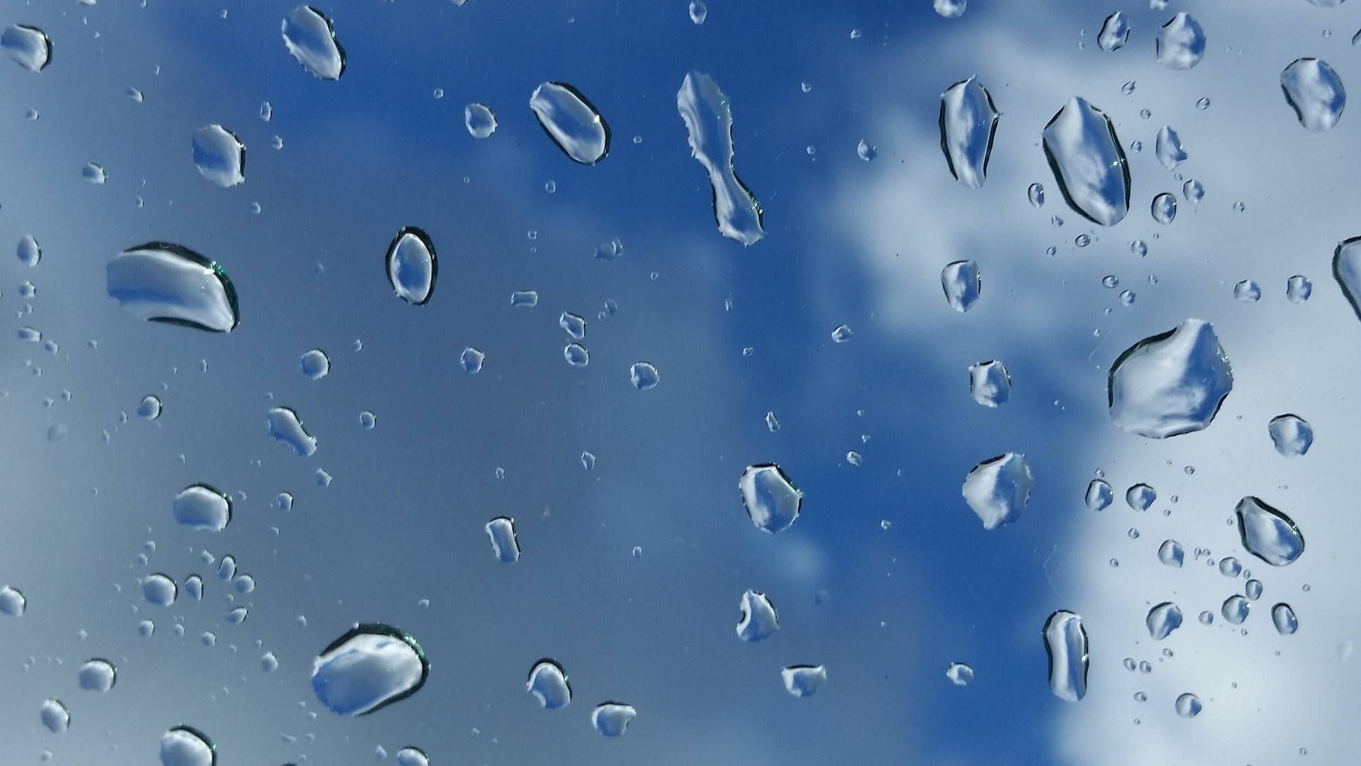 Emma J5 Qa Epp5 C5 I Unsplash 621f939a4d6aa