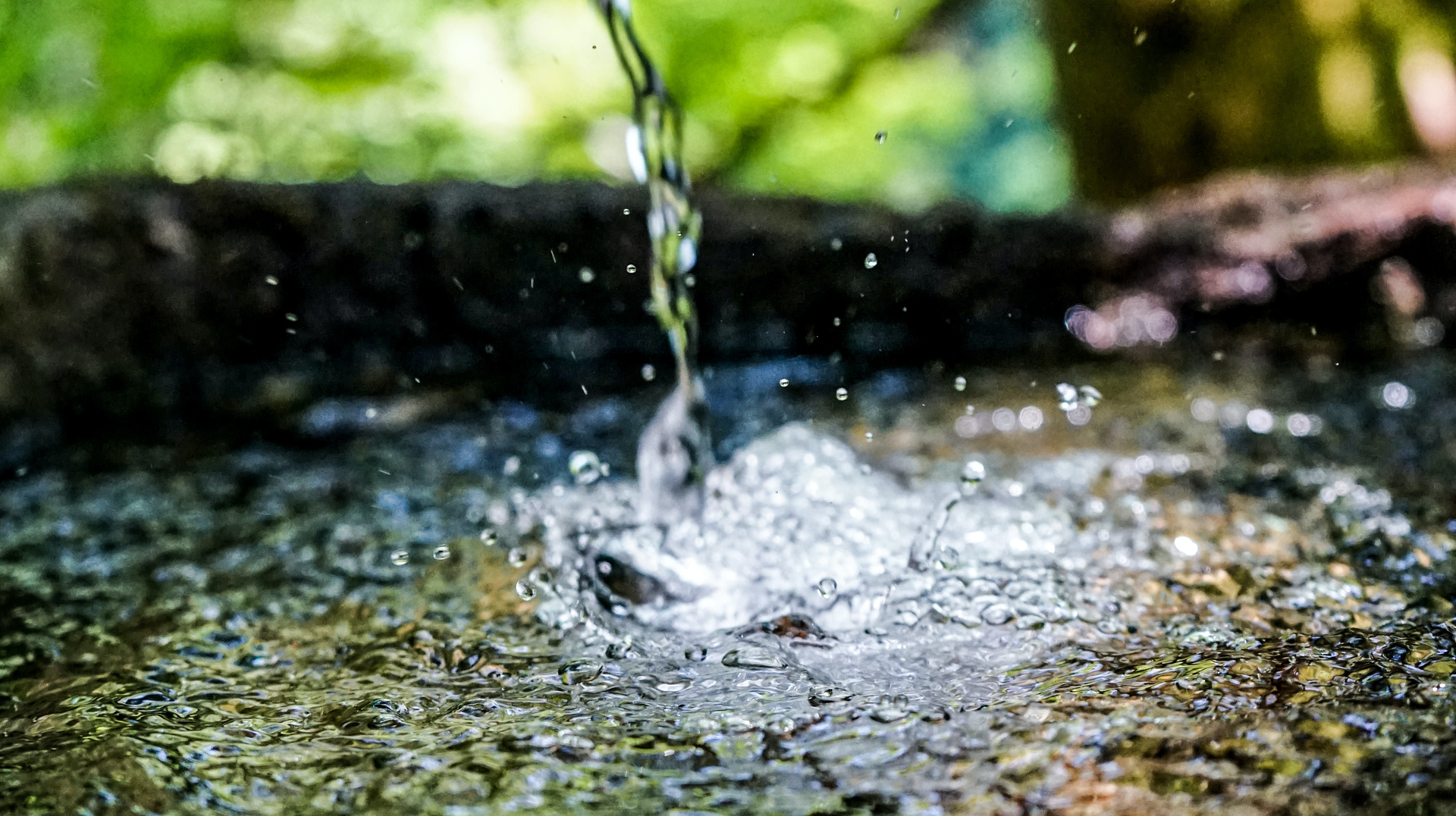 Frank Albrecht Xa Oq Sqf Ir08 Unsplash 622a32036f1de