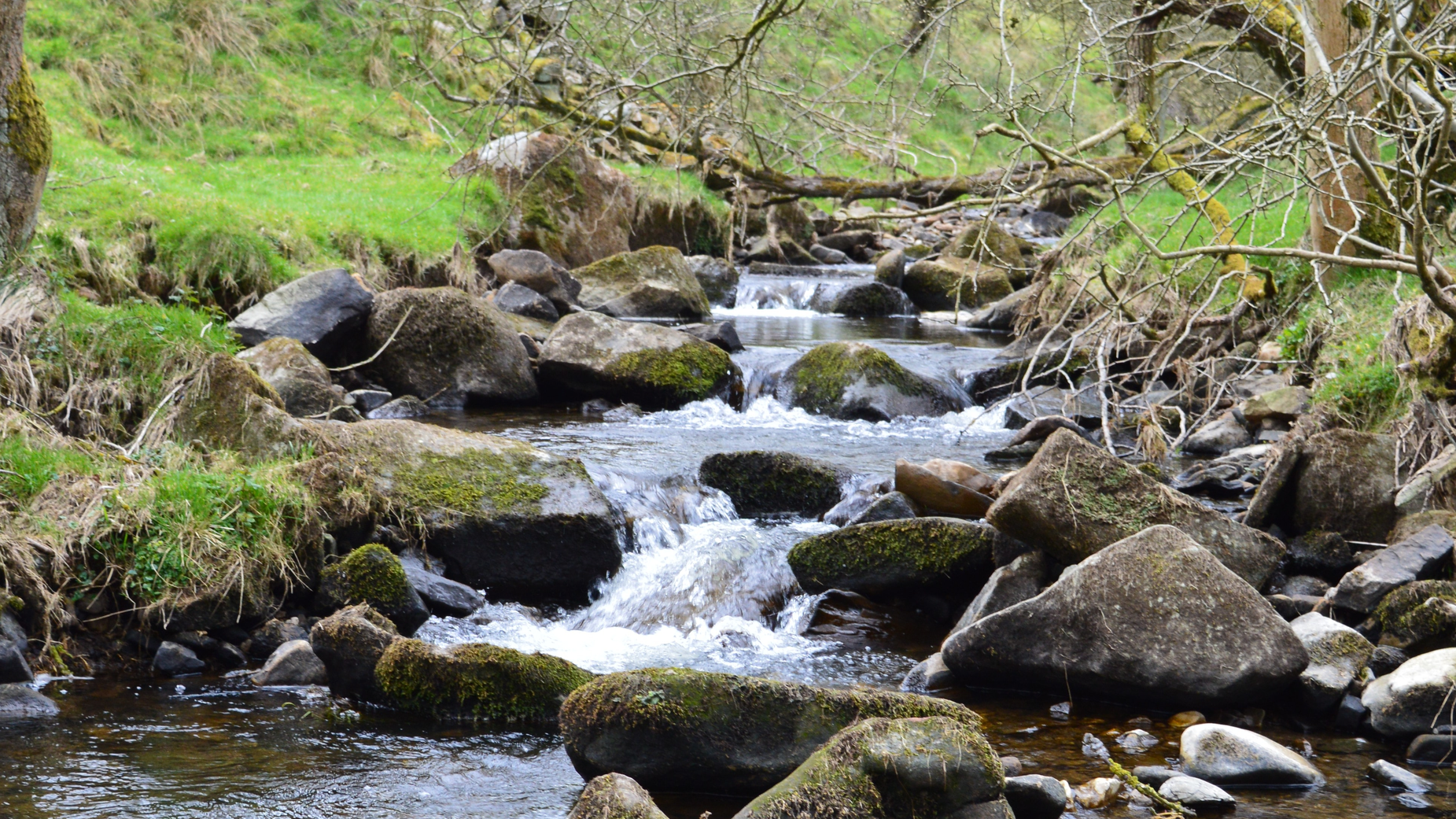 Maddox Howe Z Gwq Q Tv S6 P8 Unsplash