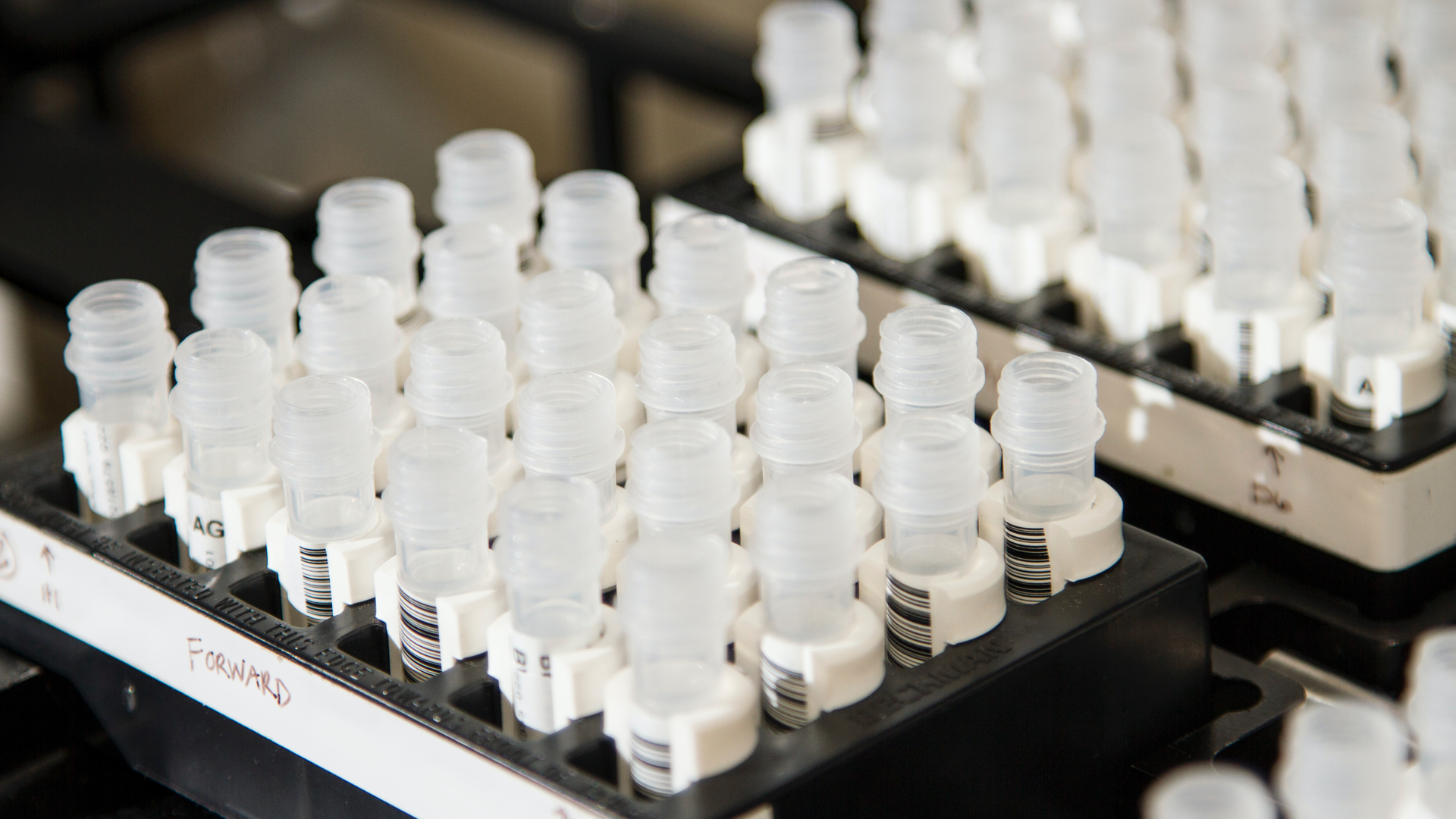 National Cancer Institute Fd0b Bl4c Fc Unsplash 6256d8b15962e