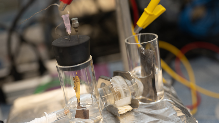 The catalyst can pull ammonia and solid ammonia from low levels of nitrates that are widespread in wastewater and polluted groundwater.