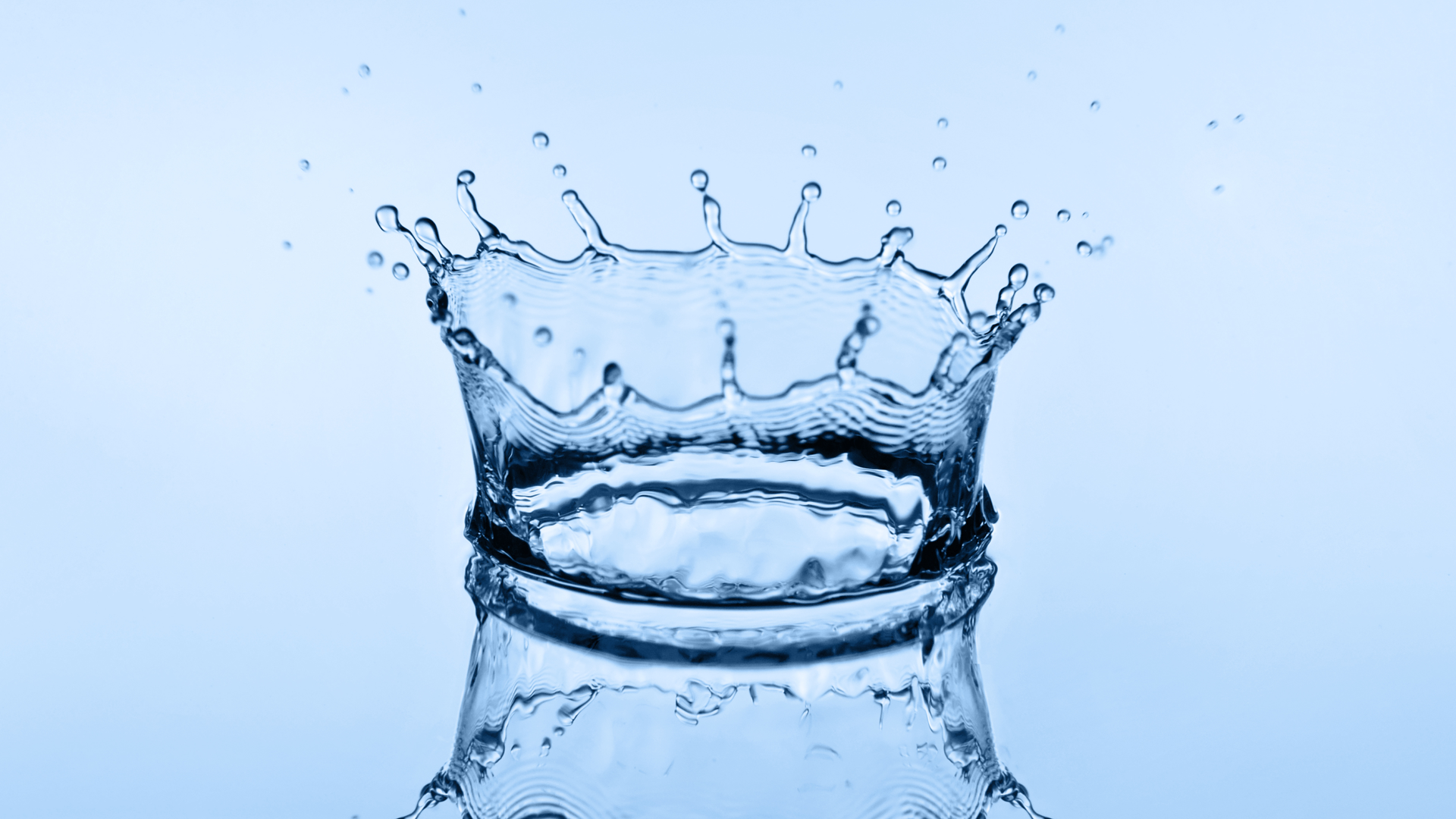 Dreamstime Xxl 15508875 6283963f0e31e