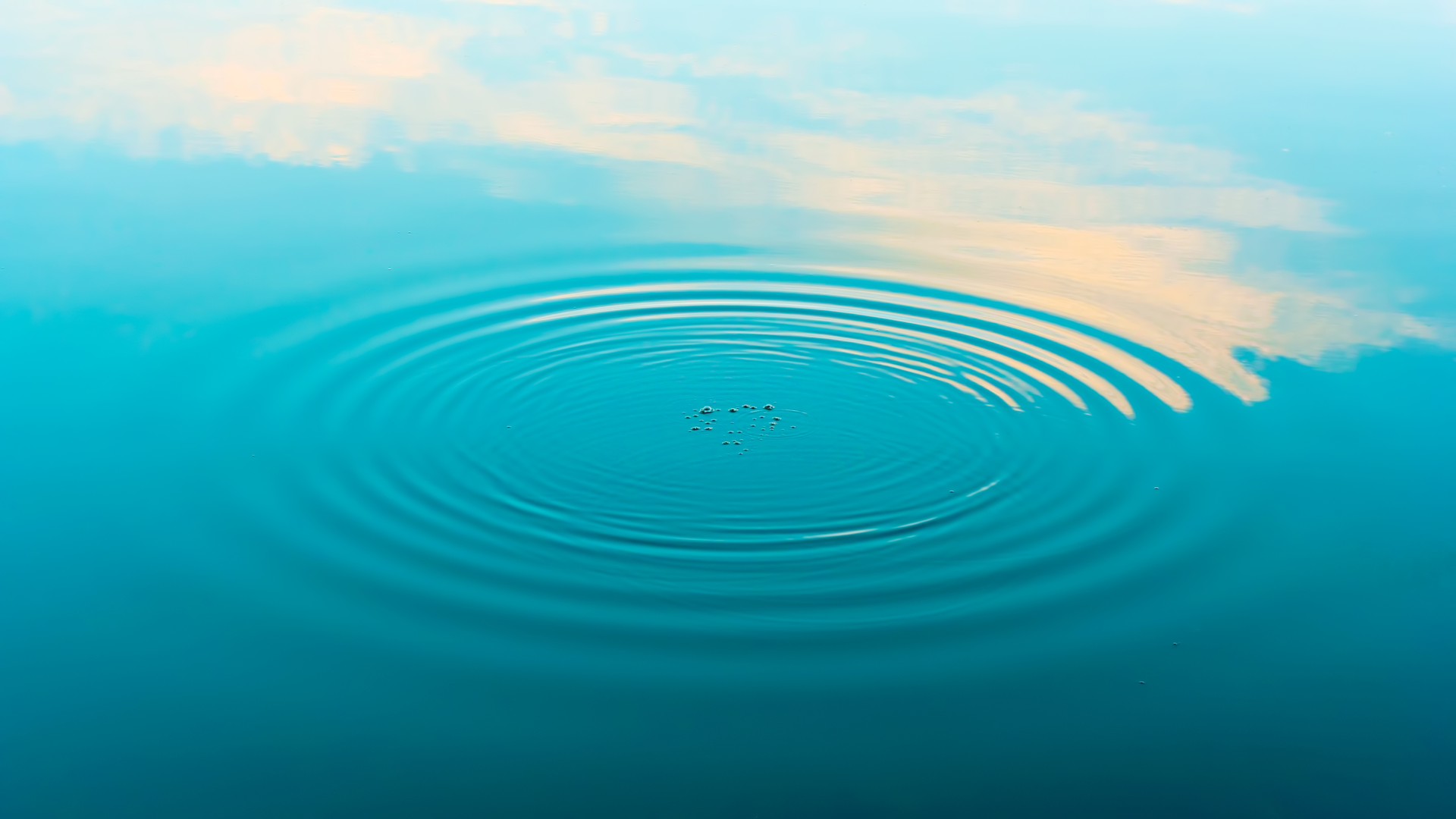 Dreamstime Xxl 29660185 62864516a59a7