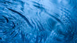 Dreamstime Xxl 6716549 627d07f8e37e8 Dreamstime Xxl 6716549 627d07f8e37e8