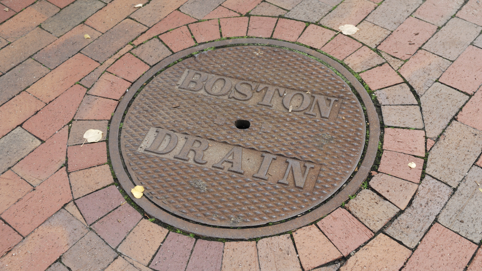 Dreamstime Xxl 11351990