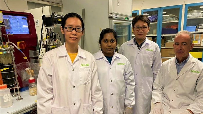 (L-R) SCELSE Research Assistant Hoon Hui Yi, SCELSE Research Associate Sara Swa Thi, Research Fellow at SCELSE&rsquo;s Integrative Analysis Unit Liu Xianghui, and Stefan Wuertz, who is also Research Director of SCELSE&rsquo;s Environmental Engineering cluster at NTU Singapore.
