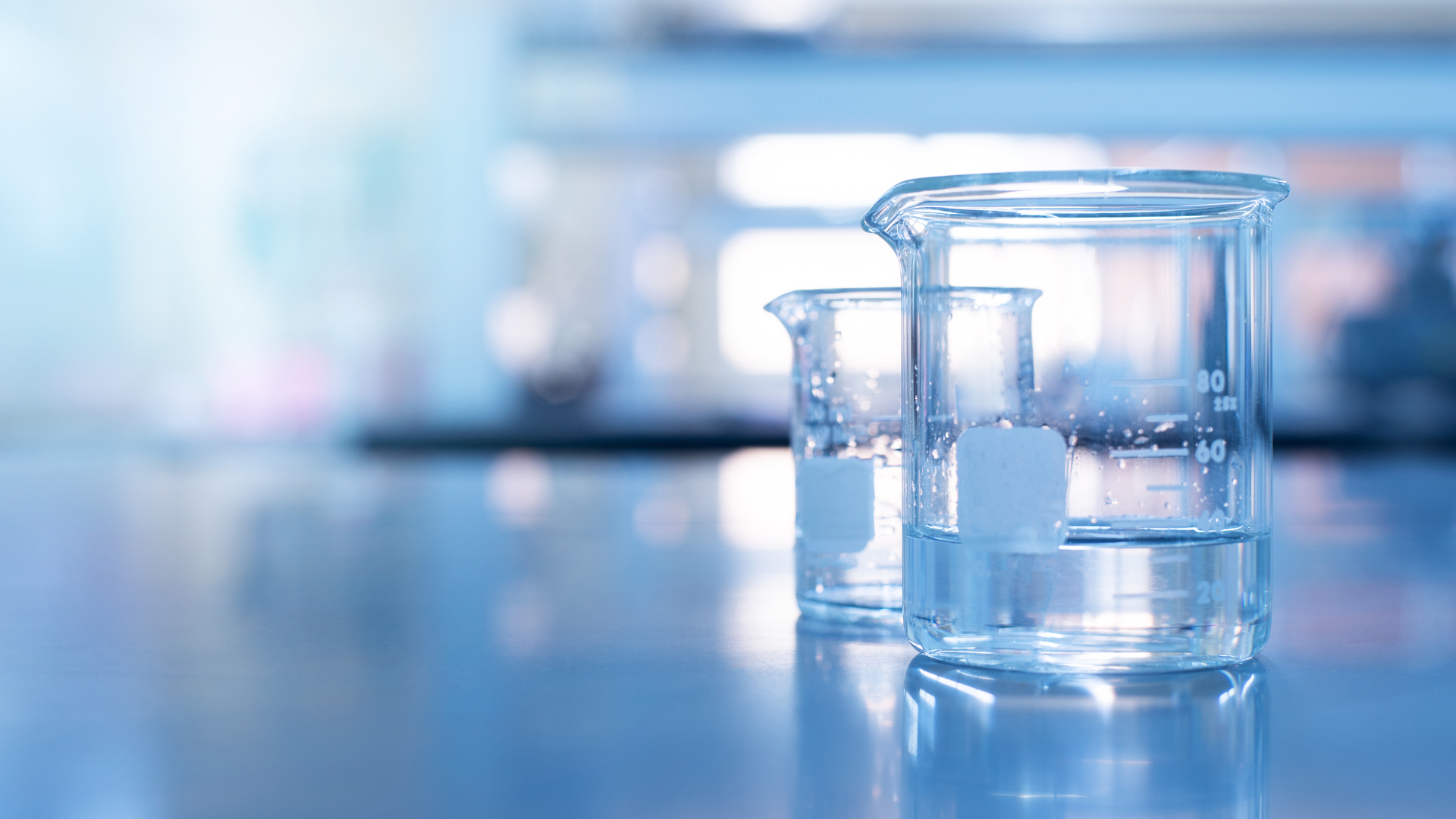 Dreamstime Xxl 169721229 62d031f348c85