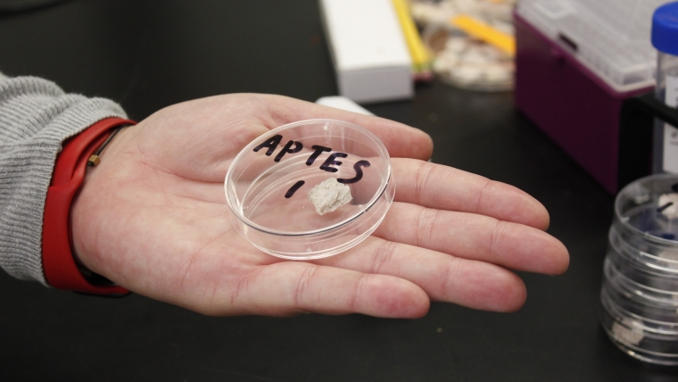 Mg 6031 6306437763fda