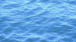 Dreamstime Xxl 16084860 63076ba37ca2c Dreamstime Xxl 16084860 63076ba37ca2c