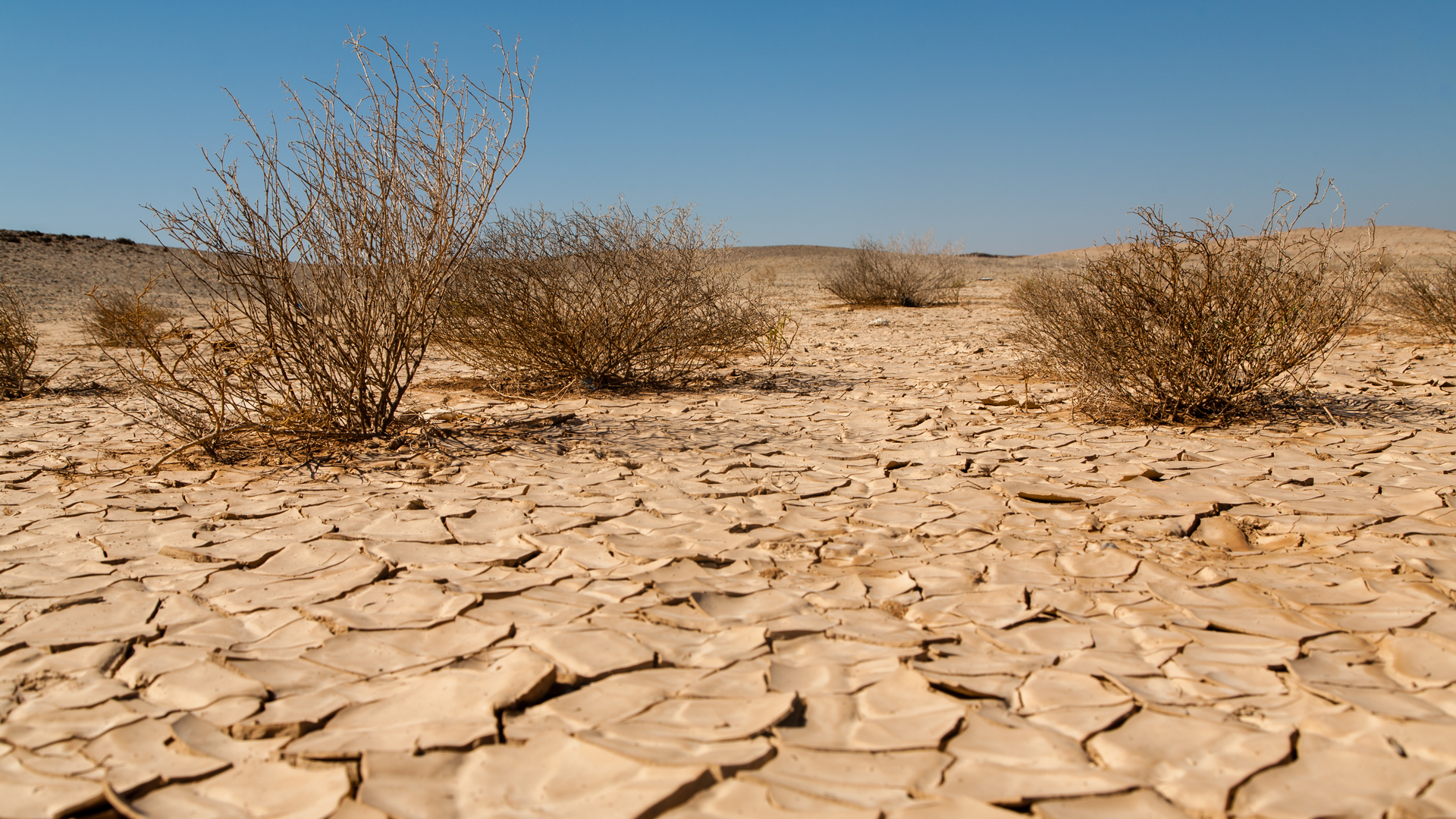 Dreamstime Xxl 61805333 6335b882e4b9c