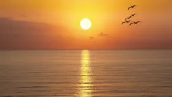 Dreamstime Xxl 71779192 6328a0f560d3d Dreamstime Xxl 71779192 6328a0f560d3d