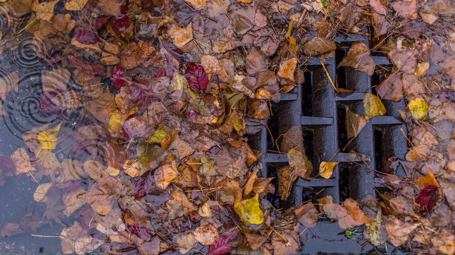 Dreamstime Xxl 65049237 6351af74153dc