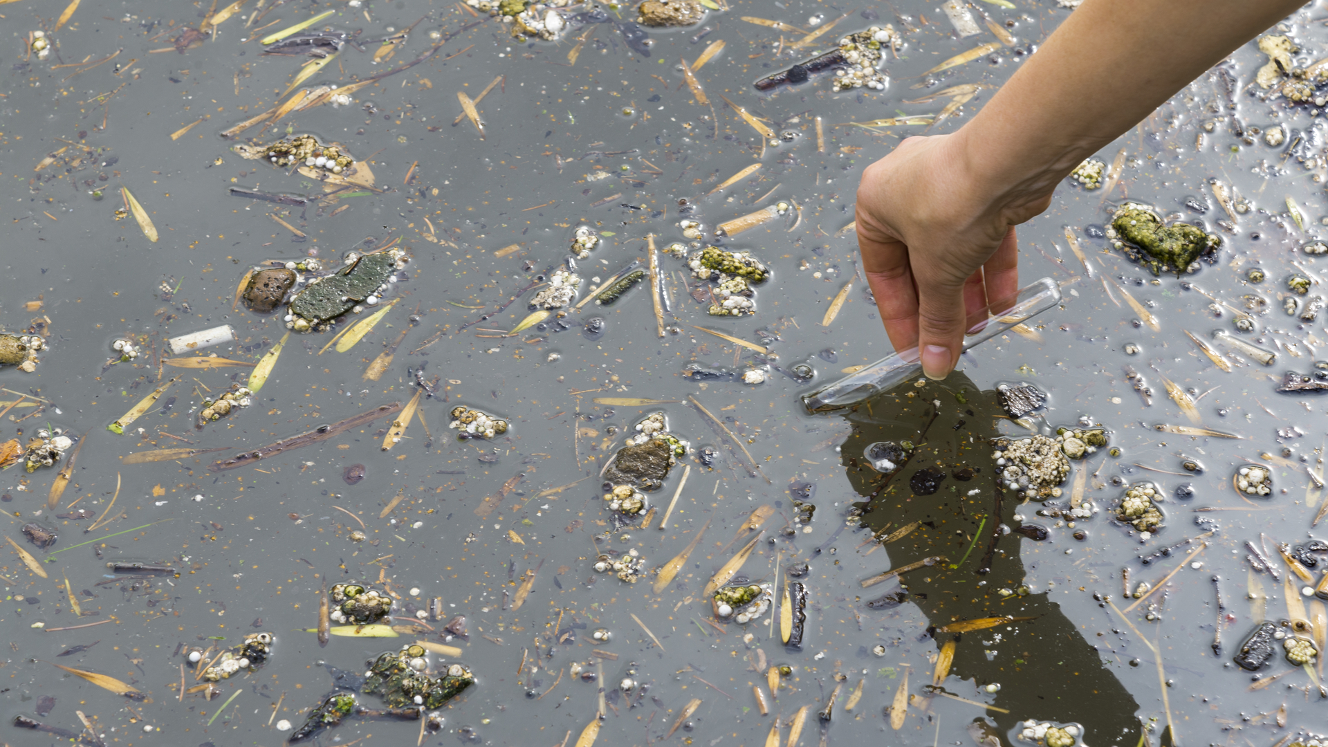 Dreamstime L 155851188