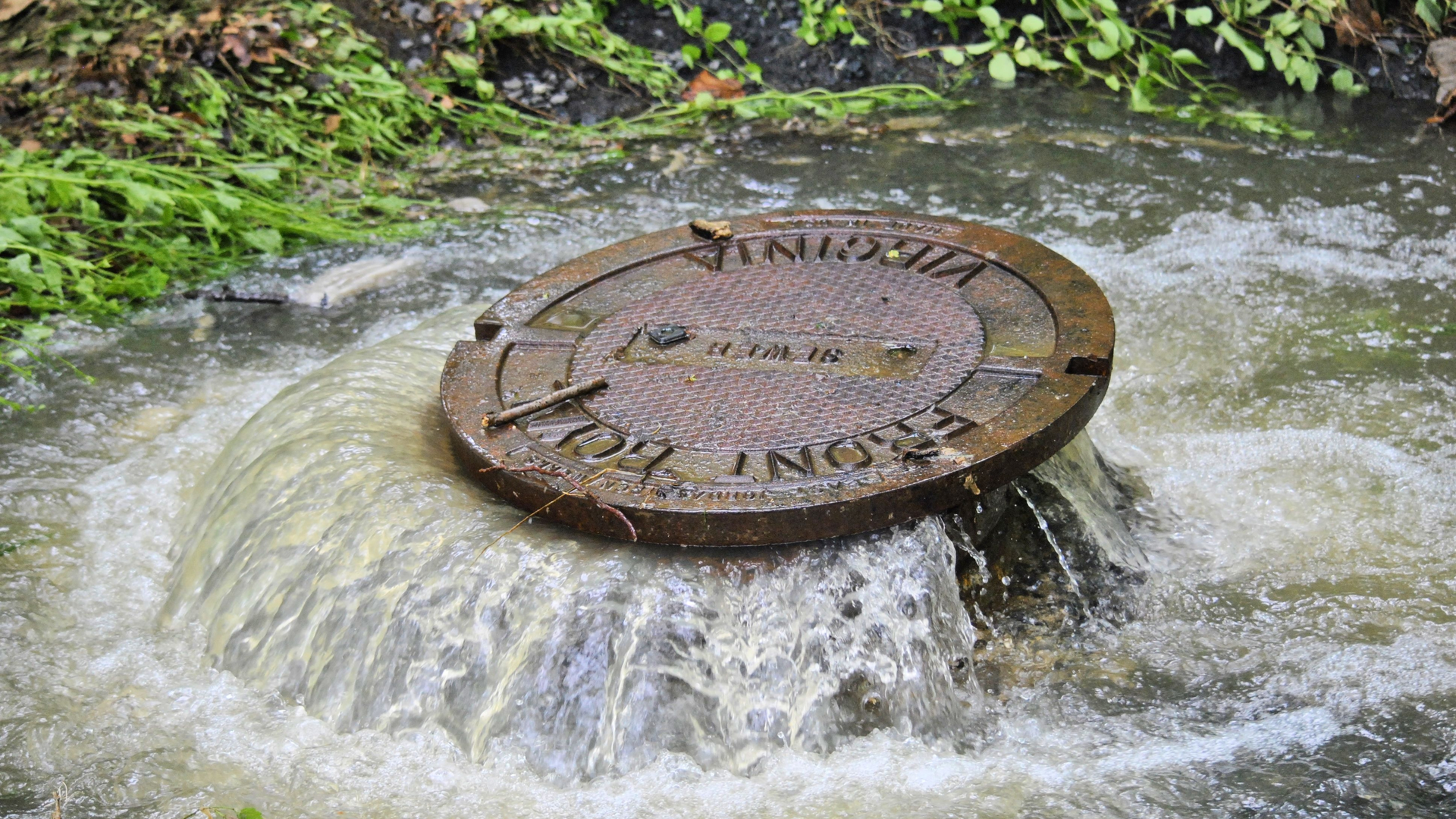 Dreamstime Xxl 49317473