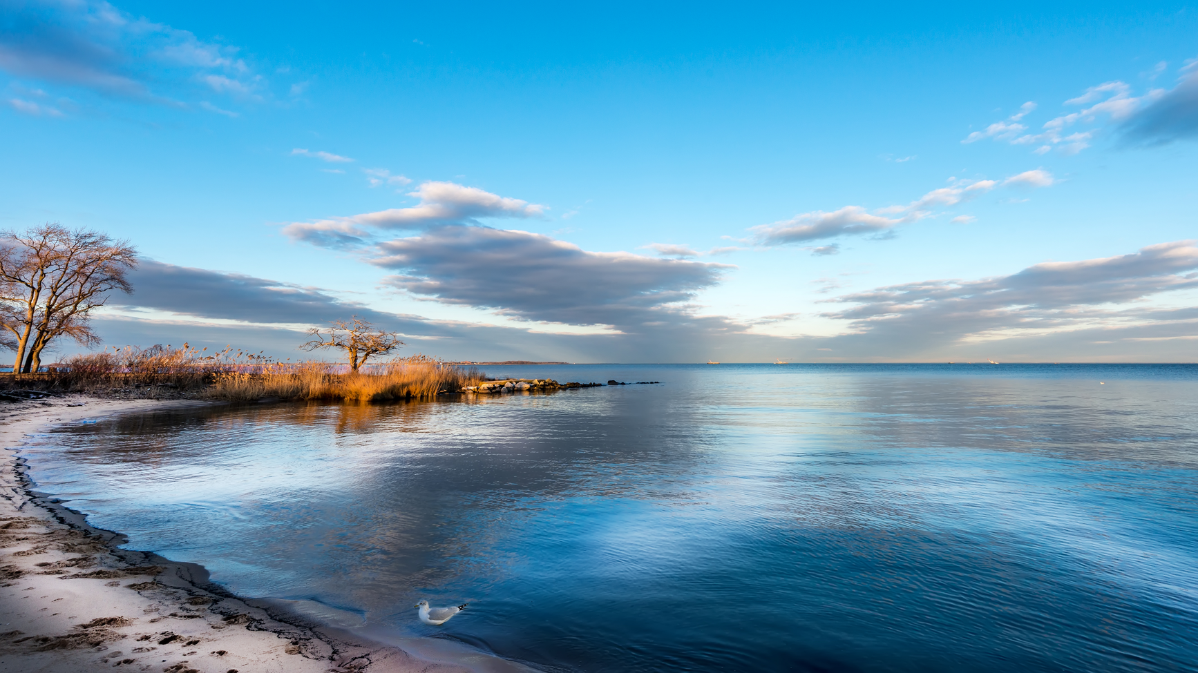 Dreamstime Xxl 51937033 637ce7c6068c2